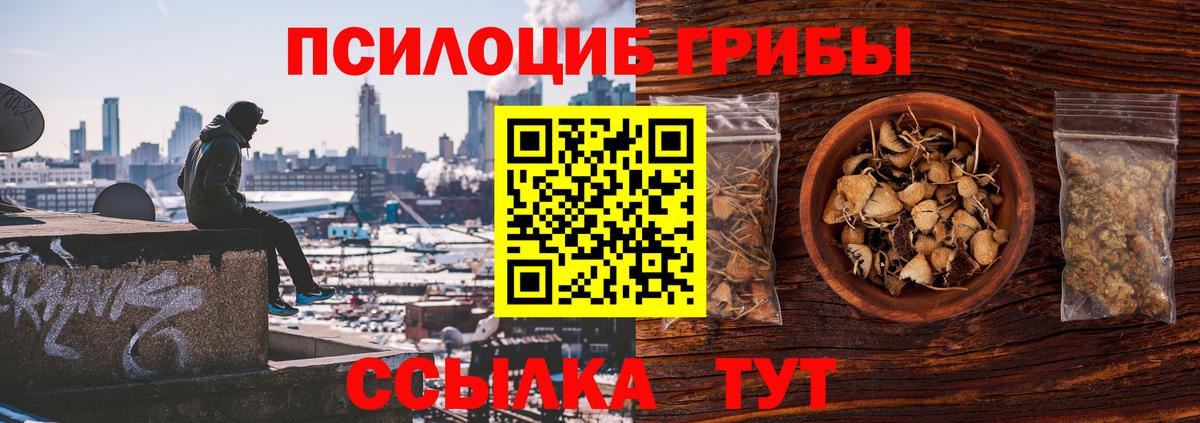 Кувандык  Галлюциногенные грибы Magic Shrooms  Вход с VPN 